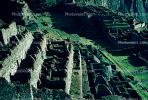 Machu Picchu, (Quechua: Machu Pikchu) ? "Old Mountain", landmark, pre-Columbian Inca site, CBPV01P01_06.1513