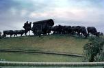 Monumento La Carreta, (Oxcart Monument), statue, oxen, wagon, National Monument, famous landmark, Montevideo, CBUV01P01_14