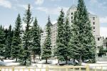 Trees, Chateau Lake Louise Hotel, building
