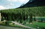 Lake Louise, Mountains, Forest, Lawn, Path, Flowers, Banff, Woodland, Trees, CCAV01P07_01