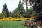 Garden, flowers, Vancouver