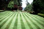 Well Groomed Lawn, The Butchart Gardens, Victoria, CCBV01P13_18