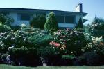 Home, House, Building, Nitobe Memorial Garden, Vancouver, CCBV01P15_07