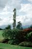 Totem Pole, Vancouver, CCBV02P10_17