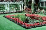 gardens, pond, lily pads, Butchart Gardens, Victoria, Toadstools, broad leaved plant, CCBV02P14_17