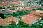 red roofs, homes, houses, buildings, CDAV01P11_19