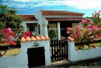 Home, House, building, gate, fence, Bouganvilla