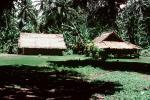 Home, Grass House, Jungle, rain forest, building, Guadalcanal, CDMV01P03_10