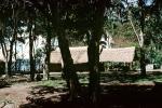 Home, Grass House, building, Guadalcanal, CDMV01P03_15