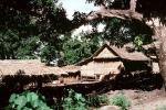 Home, Grass House, building, Guadalcanal, CDMV01P03_16