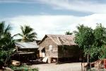 Home, Grass House, building, Guadalcanal, CDMV01P03_19