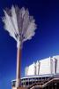 Aluminum Palm Tree, Wellington, CDNV01P06_06