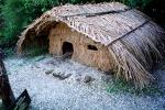 Grass Home, Hut, Maori Village, Thatched Roof House, House, Coromandel Peninsula, building, Sod, CDNV01P09_12