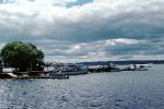 Dock, Harbor, Boats, Lake Rotorua