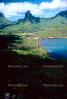 Opunohu Bay, Mount Tohivea, Island of Moorea, CDPV01P04_17.1515