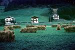 hay, bales, grass, houses, homes, rural, Buildings, fields, CEAV01P11_19