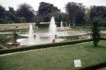 Water Fountain, aquatics, manor gardens, England, CEEV06P02_12