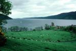 Sheep, ruins, Loch Ness, Scottish Highlands, Scotland, CEEV06P09_04