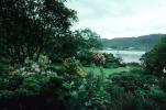 Lochinver Gardens, Assynt, district of Sutherland, Scottish Highlands, Scotland, CEEV06P09_05