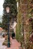 Ivy, Homes, Sidewalk, Steps, Trees, Lamp