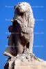 Lion statue, Statuary, Sculpture, Exterior, Outdoors, Outside, art, artform, CEFV04P09_18B.2586