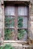 window, ivy, curtains, panes, Near Jobourg, Normandy, France