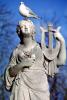 statue, female, pigeon, harp, woman, sunny, daylight, robe, lyre, CEFV06P11_18