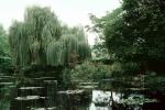 Monets Garden, Pond, Giverny, CEFV07P06_09