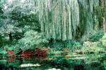 Monets Garden, Pond, Giverny, CEFV07P06_10