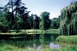 Le Haneau, Trees, Pond, Reflection, Gardens, CEFV07P13_06
