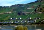 Homes, Houses, Village, Rhine River, (Rhein)