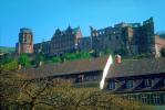 Heidelberg Castle, Heidelberger Schlossruin, Kšnigstuhl Hillside, landmark, 1950s, CEGV03P14_11.2591