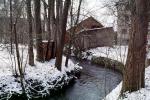 River, Creek, Brook, Bare Trees, Cold, Ice, Winter, Snow, Osfildern