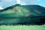 Weinbaugebiete, Mosel, green steep hills, CEGV05P14_16