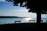 Bench, birds, placid, peaceful, calm, Lake Constance