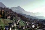 Hillside, Homes, Houses, Buildings, Forest, Alps, Berchtesgaden, Bavaria, CEGV06P12_18