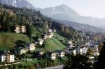 Hillside, Homes, Houses, Buildings, Forest, Berchtesgaden, Bavaria, CEGV06P12_19