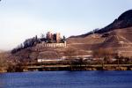 Castle, Vineyard, Village, Town, Hill, Mountain, Rhine River, Terraces, (Rhein), CEGV07P15_16