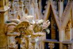Gargoyle, flying dog, Milan Cathedral (Italian: Duomo di Milano), Xenomorph, CEIV02P15_12.2593