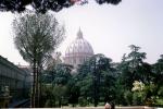 Saint Peter's Basilica, San Pietro in Vaticano, May 1966