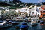 Harbor, Boats, Village, Homes, Houses, Buildings