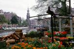 Flowers, Canals, Waterway, Garden, Amsterdam, CENV01P08_14