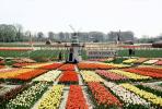 Henry W' Roozen, Gardens, Flowers, Windmill, Tulips, CENV01P10_12