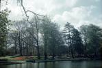 Forest Park, Trees, lake