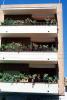 Balcony, building, apartment, housing, flat, house, flower pots, Ronda