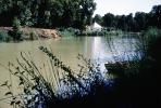 River, Water, Lake, house, Aranjuez, CEOV03P07_13