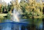 Pond, Water Fountain, aquatics, Gardens, CEOV03P10_04
