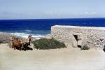 Oxen Cart, stone wall, beach, ocean