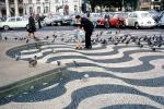 Pigeons, Volkswagen Bug, Lisbon, tile sidewalk, illusion, CEPV02P04_16