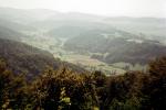 Woodlands, Valley, Forest, Switzerland, 1950s, CESV01P02_11